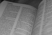 Les dictons classés par mois