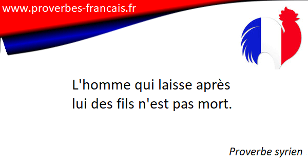 31 proverbes syriens.