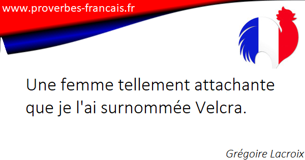 Citations Attacher 39 Citations Sur Attacher