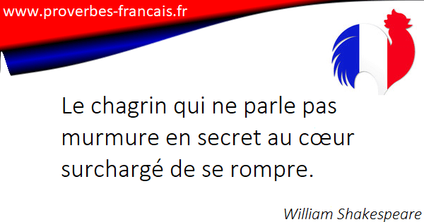 Les Citations Et Aphorismes Sur Chagrins
