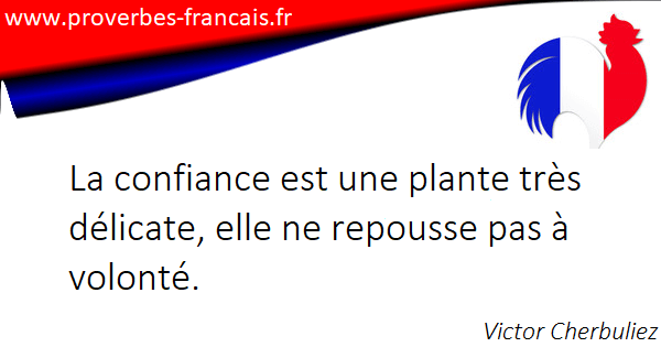 Citation Pour Manque De Confiance