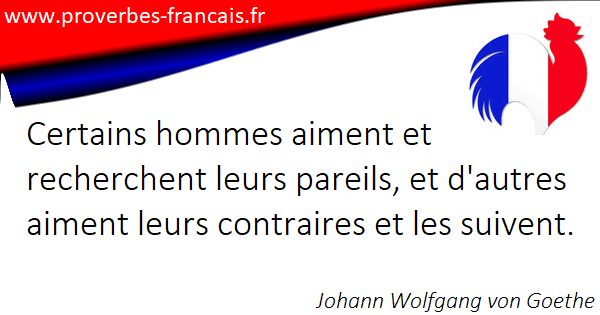 Citations Contraire 31 Citations Sur Contraire