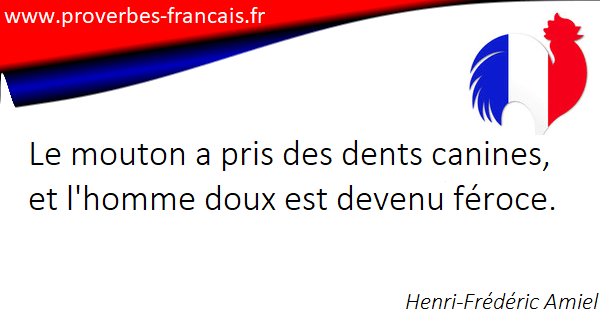 Citations Dents 27 Citations Sur Dents