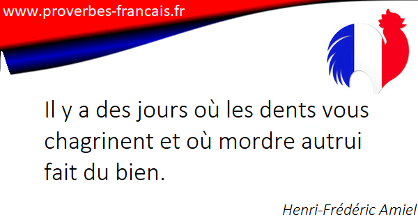 Citations Dents 26 Citations Sur Dents