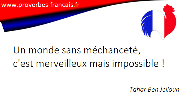 Citations Mechancete 43 Citations Sur Mechancete