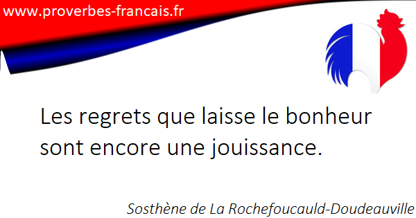 Les Citations Et Aphorismes Sur Regrets