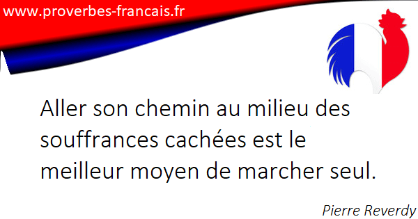 Les Citations Et Aphorismes Sur Souffrances