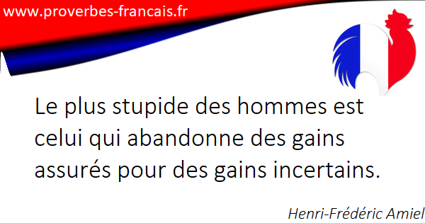 Citations Stupide 21 Citations Sur Stupide Citations Stupide 21 Citations Sur Stupide