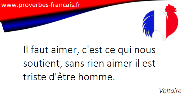 Les Citations Et Aphorismes Sur Triste